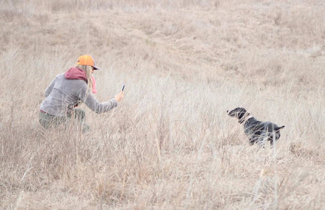 Person and dog in a field with dry grass