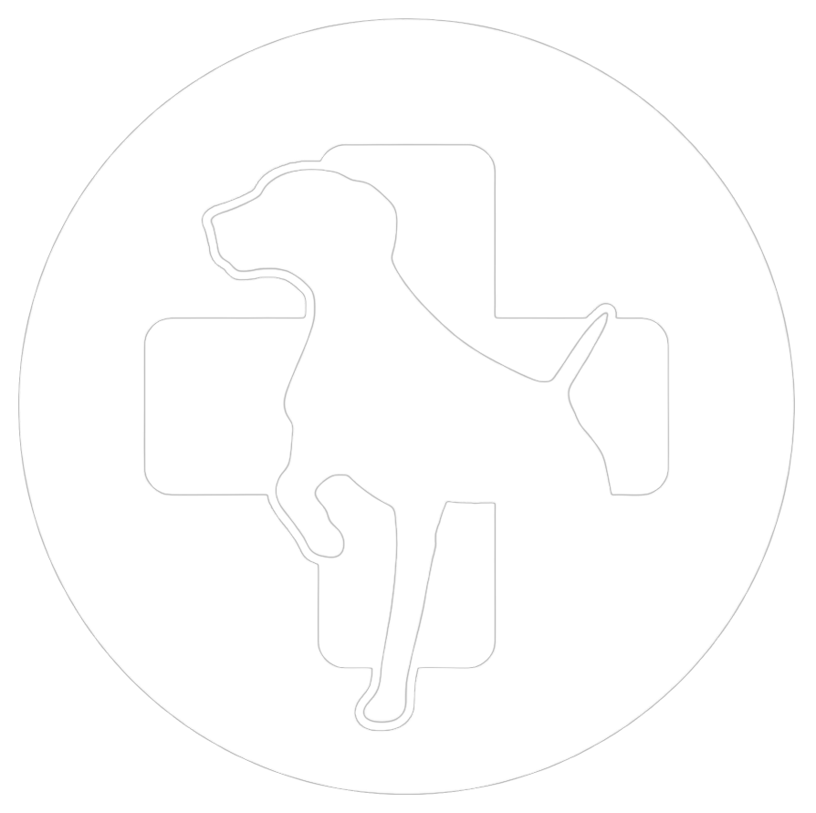 PARADIGM SPORTING DOG
